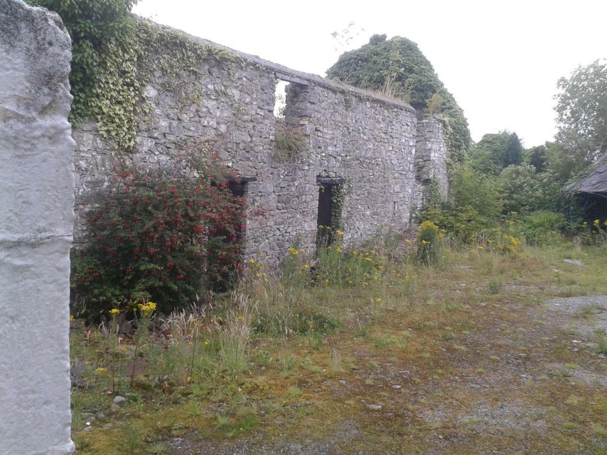 Appartamento The Townhouse Claremorris Esterno foto